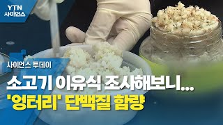 소고기 이유식 조사해보니...'엉터리' 단백질 함량 / YTN 사이언스