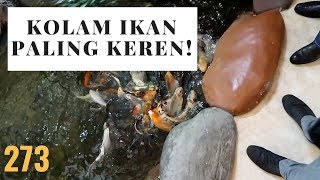 KOLAM IKAN paling keren | Vlog273