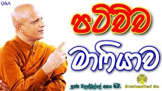 ► පටිච්ඡ මාෆියාව