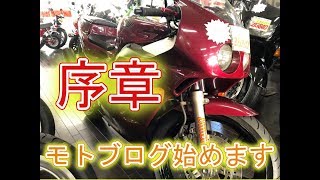 【現車確認】初モトブログへの道・序章【CBR250RR】