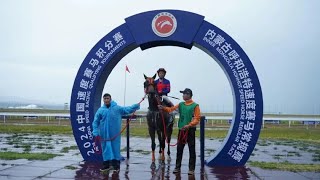 20240825 3YO+ 1000m (Race 2) 内蒙古呼和浩特速度赛马常规赛D12 第2场 3岁及以上纯血马 1000米