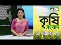 চ্যানেল আই কৃষি সংবাদ | Channel i Krishi News | 12 October, 2024 || Channel i News