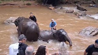 6 ธ.ค.ทำบุญวันคล้ายวันเกิดคุณพ่อชูชาติ​ พร้อมฟื้นฟู​ปางช้างแม่สาเร็วๆนี้