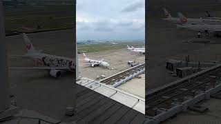 羽田空港　JAL Mickeyラッピング！