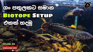 A biotope similar to a river bottom - #VLOG_25 | The Fishyflex