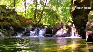 528Hz Miracle Tone - River,birds & forest sound HD - No Headphones Required - 4 Hours