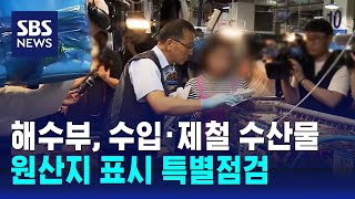 해수부, 수입·제철 수산물 원산지 표시 특별점검 / SBS