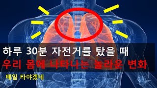 실내 자전거 운동 효과 다이어트