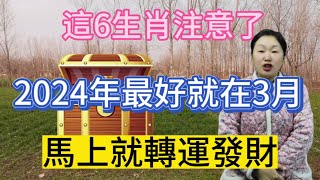 這6大生肖要發達了！今年最好就在3月！10年一遇的好財運到來！大賺！大發！大富！馬上就要轉運發財！可喜可賀！#運勢 #2024 #生肖