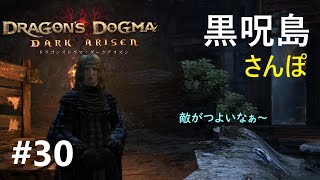 【ドラゴンズドグマ】ドラゴンズドグマ ダークアリズン　＃30　ソーサラーで黒呪島さんぽ【Dragon's Dogma: Dark Arisen】【10周年記念】【ドラゴンズドグマ2制作決定】