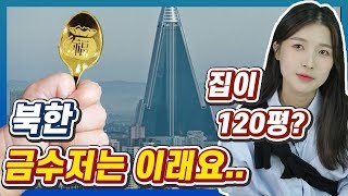 북한인이 말해주는 북한 금수저의 삶 (ft. 120평 집)