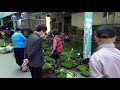 4k walking sejong traditional market summer 5월 장날 세종 전통시장