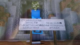 [WiiU:Minecraft]登録者10突破記念!!スキン配布!!