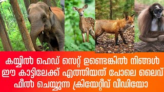 ഹെഡ് സെറ്റ് വെച്ച് കണ്ടാൽ നിങ്ങൾ ലൈവായി കാട്ടിൽ കയറുന്ന ഫീൽ കിട്ടുന്ന ലൈവ് വീഡിയോ ആണ് ഇത്.