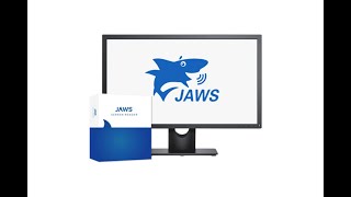 Jaws Demonstration using the UK government website