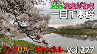 一目千本桜2023 Vol.277