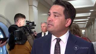 National Party’s Māori MPs to hold Labour’s Māori caucus to account – Simon Bridges