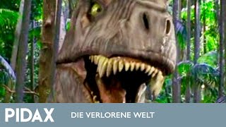 Pidax - Die verlorene Welt (1999-2002, TV-Serie)