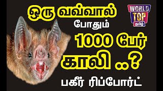 ஒரு வவ்வால் போதும் 1000 பேர்  காலி Bats Corona and Human