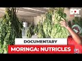 Documentary on Moringa for Nutricles | Media Production & Digital Agency