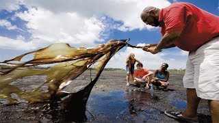 The most amazing lake in the world: people can walk on the lake