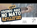 Vivendo Aqui no Mato - Aprender a tocar - Cifra - Alexandre Engler