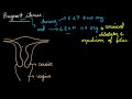 oxytocin source chemistry u0026 half life u0026 action endocrinology blackboard series oxytocin endocrine