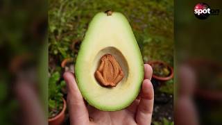 Du wirst nicht glauben, was diese Frau mit dem Kern einer Avocado anstellt