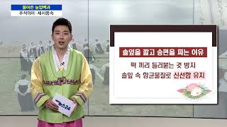 풀어쓴 농업백과 - 추석의 의미와 세시풍속