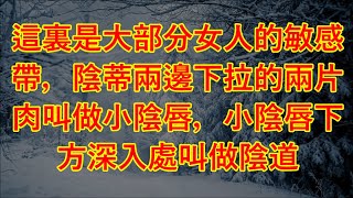 岳母和我出了空難掉到荒島上，我倆孤男寡女天天睡在一起，某天岳母晚上竟然主動騎到我身上，那晚我領會到了她的厲害！#夜聽#深夜故事#少婦#美女#兩性