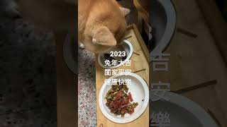 🐶2023Mango祝福大家～兔年大吉\u0026新年快樂