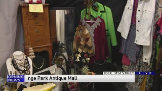 Weekend Break: LaGrange Park Antique Mall vintage shop hop