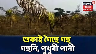 Baksaৰ এখন ঠাই, য'ত শুকাই গৈছে গছ গছনি-পুখুৰী পানীৰ অভাৱত