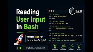 Reading User Input in Bash – Master read for Interactive Scripts!