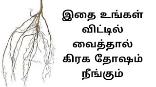 இதை உங்கள் விட்டில் வைத்தால் கிரக தோஷம் நீங்கும்