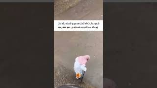 شەڕ دەکات لەگەڵ هەموو ئاستەنگەکان...