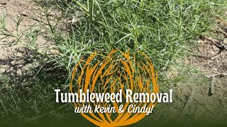 Tumbleweed Removal