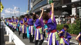 西大寺　　奈良市役所チーム　八重櫻（バサラ祭り2012）