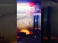 Super red arowana 5 inch, after 7 days daun ketapang treatment