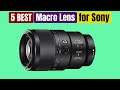 Best Macro Lenses for Sony of 2024 [Updated]