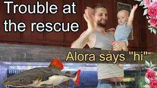 Problems at ohio fish rescue