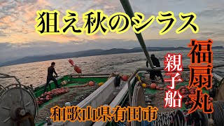 和歌山の秋シラス漁‼️【有田市】福扇丸Fishermen catching small fish in Japan