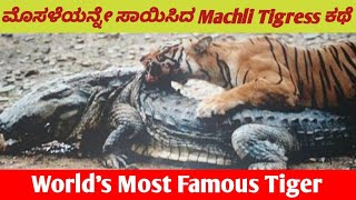 ಮೊಸಳೆಯನ್ನೇ ಸಾಯಿಸಿದ TIGRESS MACHLI | WORLD'S MOST FAMOUS TIGER | ಈ  ಹುಲಿಯ ಬಗೆ ನಿಮಗೆಷ್ಟು ಗೊತ್ತು?