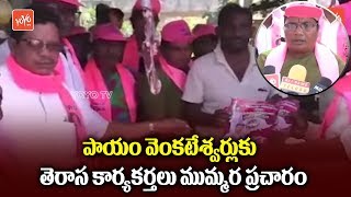 Pinapaka TRS MLA Candidate Payam Venkateswarlu Elections Campaign | Elections 2018 | YOYO TV Channel