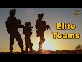 Why the Elite Always Work in Teams?