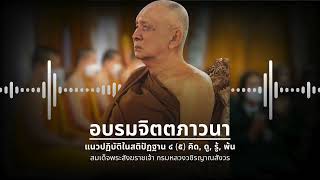 อบรมจิตตภาวนา: แนวปฏิบัติในสติปัฏฐาน ๔ ตอนที่ ๕ คิด, ดู, รู้, พ้น,