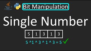 LeetCode - 136. Single Number | Bit Manipulation | Python | Java