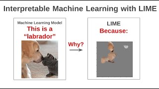 Interpretable Machine Learning for Image Classification with LIME - 5 Min. Tutorial with Python Code