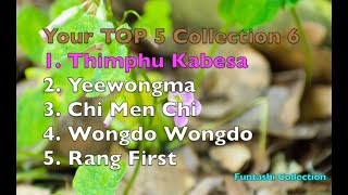 Latest Bhutanese Song 2024 (Your TOP 5 Collection 6)