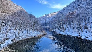 【2025年1月23日】奥入瀬渓流〜十和田湖ドライブ【9時台の奥入瀬は光が差し込んで綺麗】